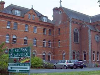 Colegios irlandeses - Dominican College - Wicklow