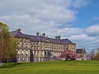 Colegios irlandeses - St Finian's College - Mullingar