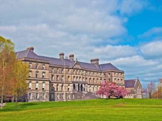 Colegios irlandeses - St Finian's College - Mullingar