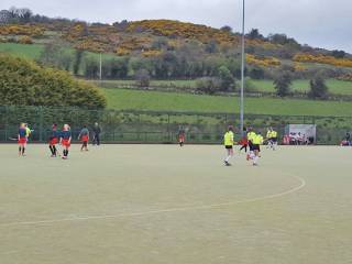 Colegios de Irlanda - Royal School Cavan - Cavan