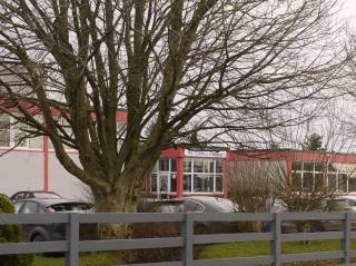 Colegios de Irlanda - St. Cuan's College - Galway