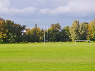 Terenure College