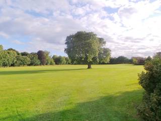 Terenure College