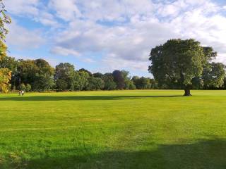 Terenure College