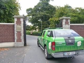 Terenure College