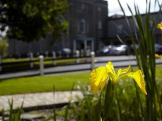 Newtown School Waterford