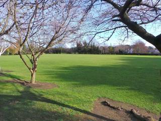 Mount Temple Comprehensive School - Dublin