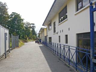 Sutton Park School - colegio privado Dublín