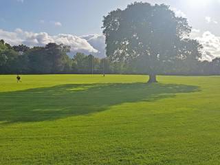 Terenure College 2019 - Dublín