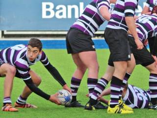 Terenure College 2019 - Dublín