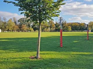 Ardscoil na Trionoide - Athy